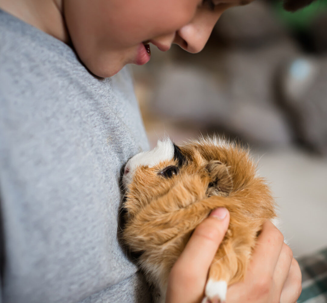 Best pets for kids