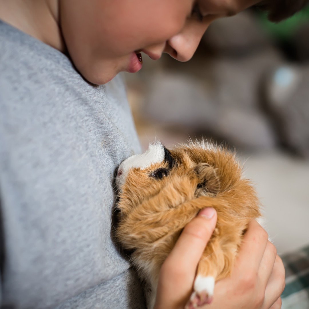 Best pets for kids